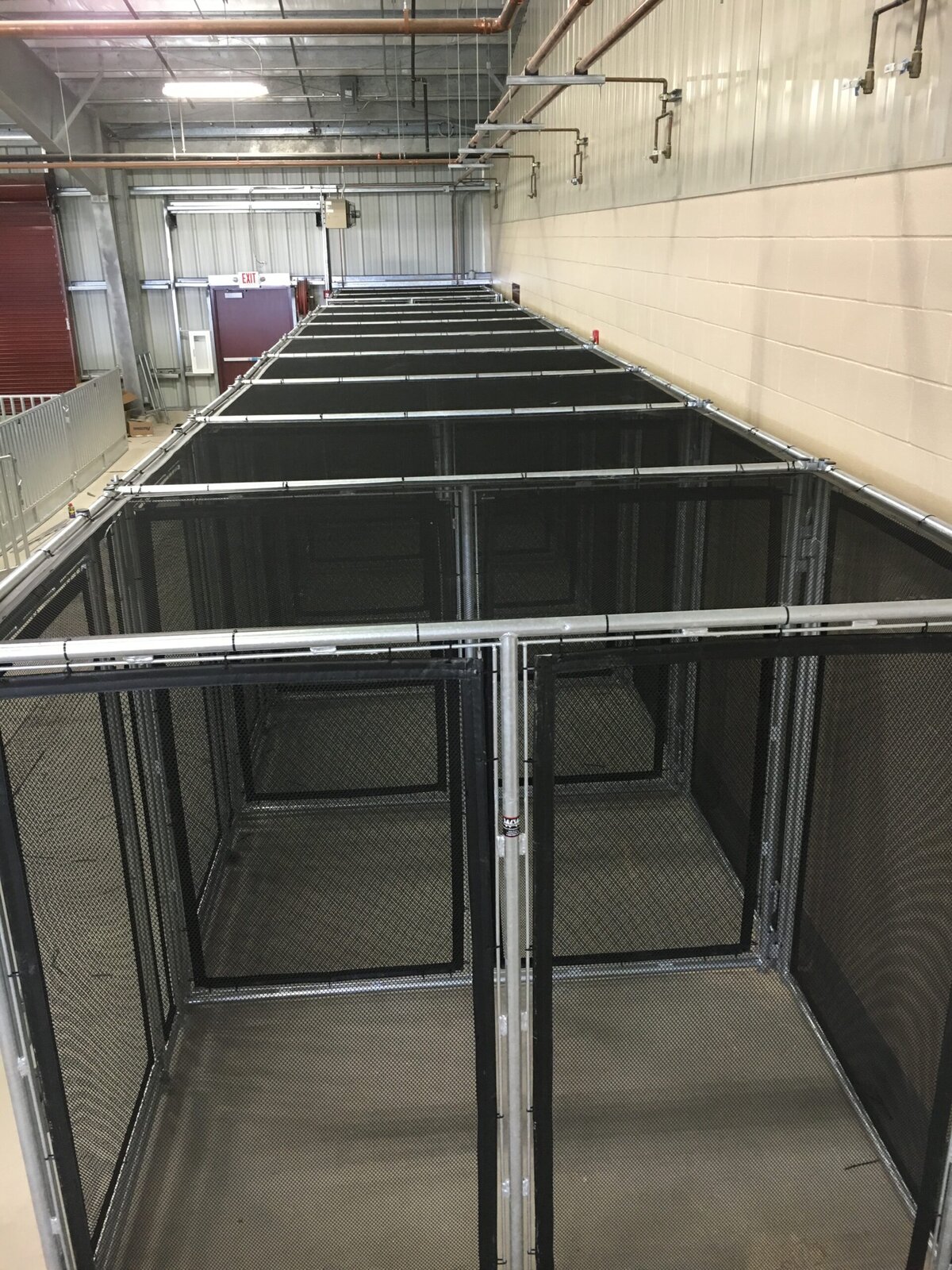 Rows of galvanized show pens inside a large Corpus Christi show barn
