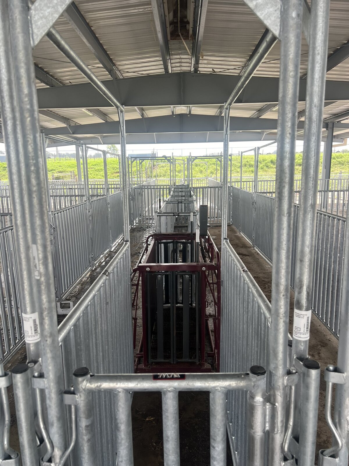 Covered galvanized goat pens and working chute at the Prairie View A&M goat research center
