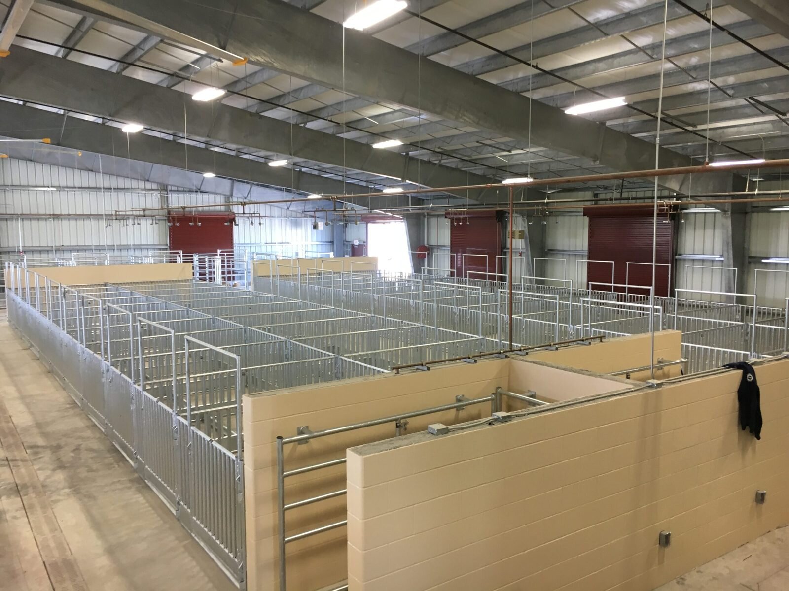 Galvanized hog and sheep pens inside a school ag barn